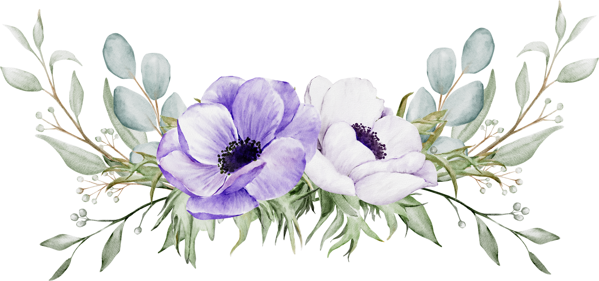 anemone flower watercolor.