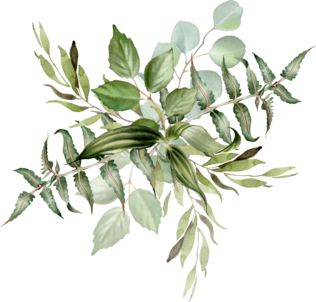 Watercolor  green leaves arrangement. Greenery floral illustration